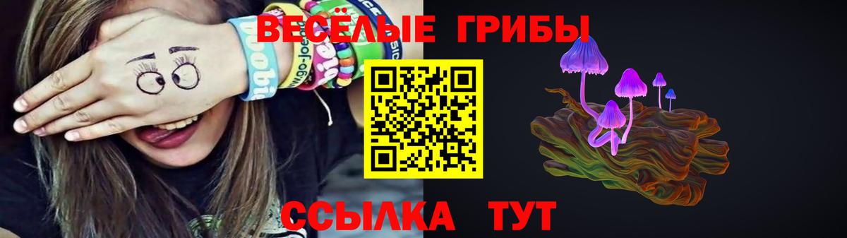 Псилоцибиновые грибы мицелий  Вход с VPN  Сергиев Посад 